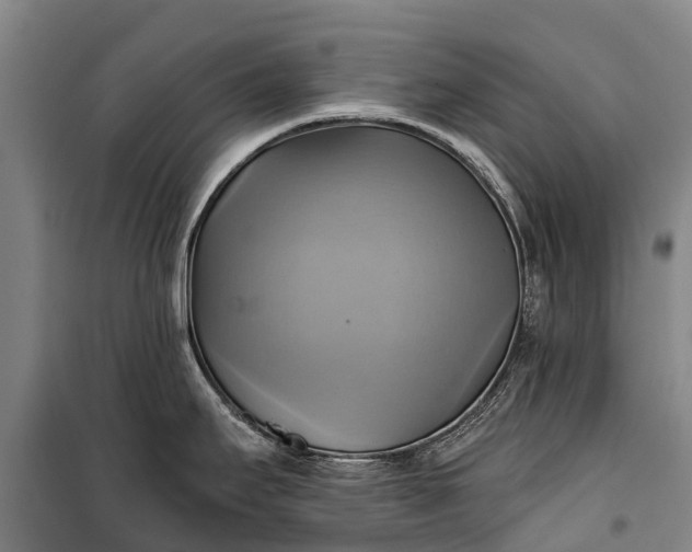 X0000101161295200807111020