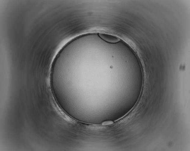 X0000101161296200807111020