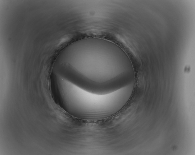 X0000101161297200807111019