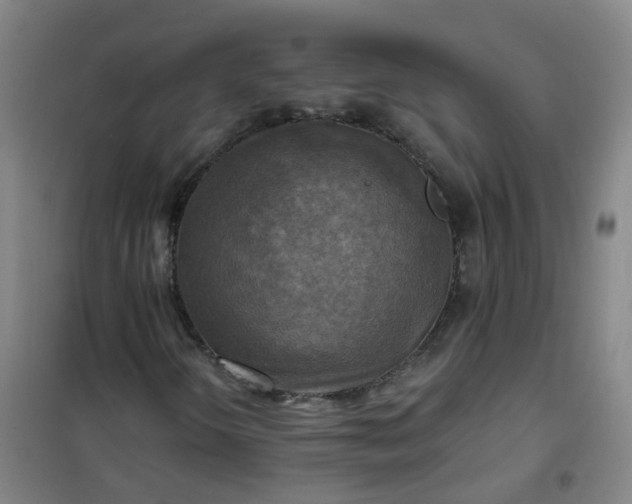 X0000101161298200807111019