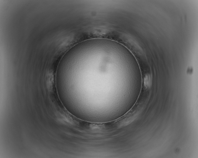 X0000101161299200807111019