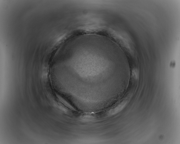 X0000101161300200807111019