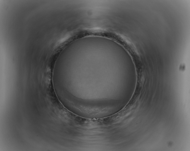 X0000101161301200807111019