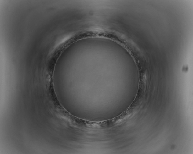 X0000101161302200807111019