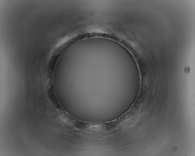 X0000101161303200807111019