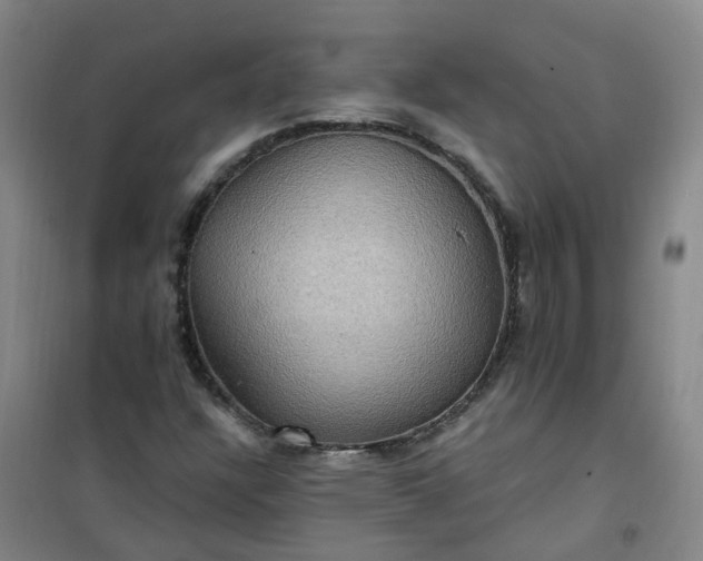 X0000101161304200807111019