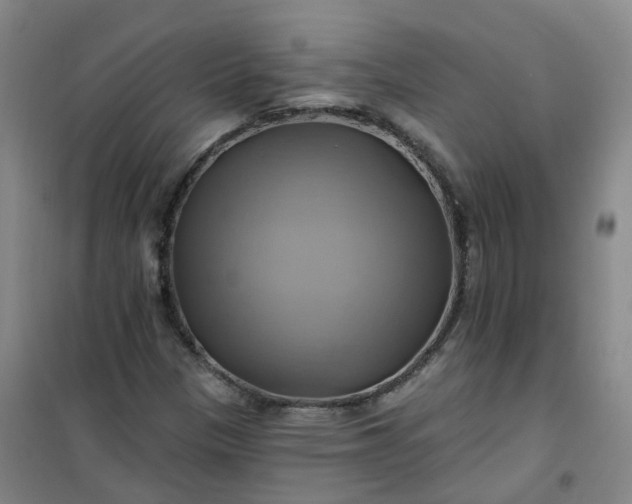 X0000101161305200807111019