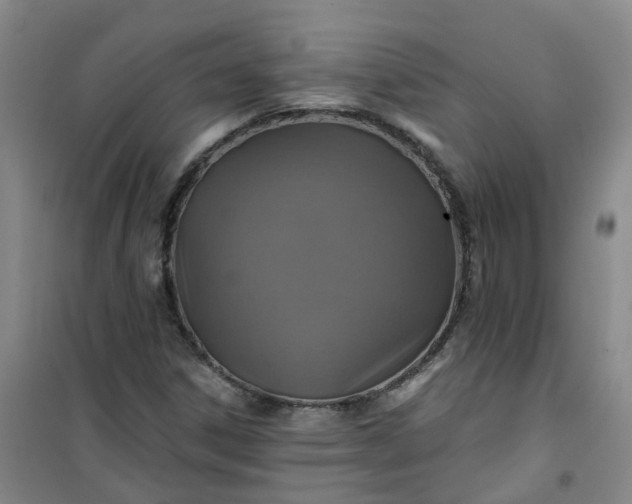 X0000101161306200807111019