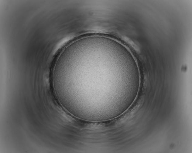 X0000101161307200807111019