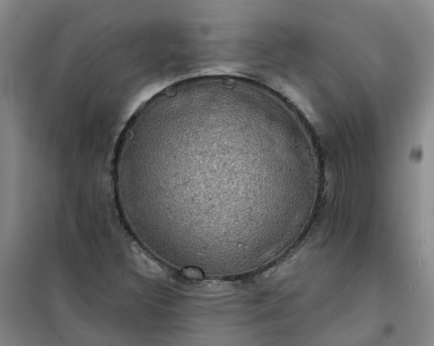 X0000101161308200807111019