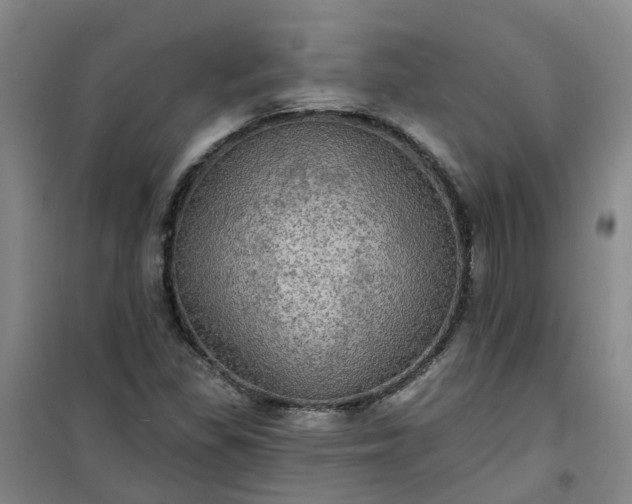 X0000101161309200807111019