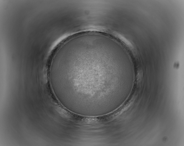 X0000101161310200807111019