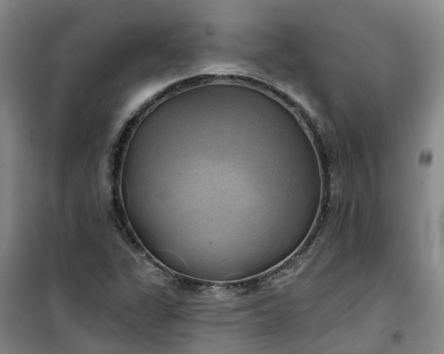 X0000101161311200807111019