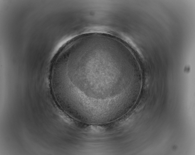 X0000101161312200807111019