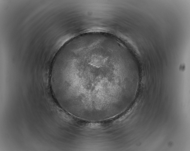 X0000101161313200807111019