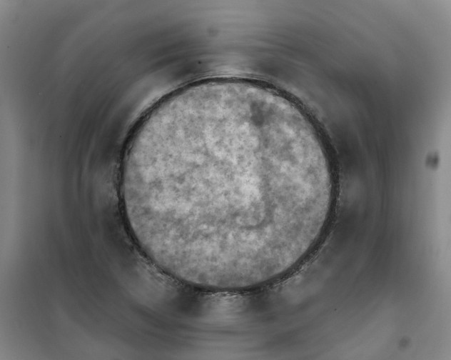 X0000101161314200807111019