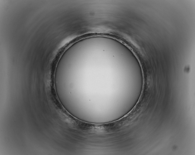 X0000101161315200807111019