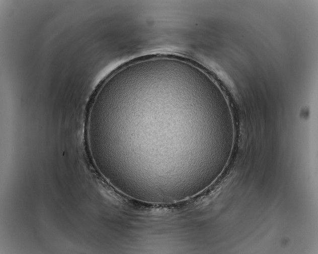 X0000101161316200807111019