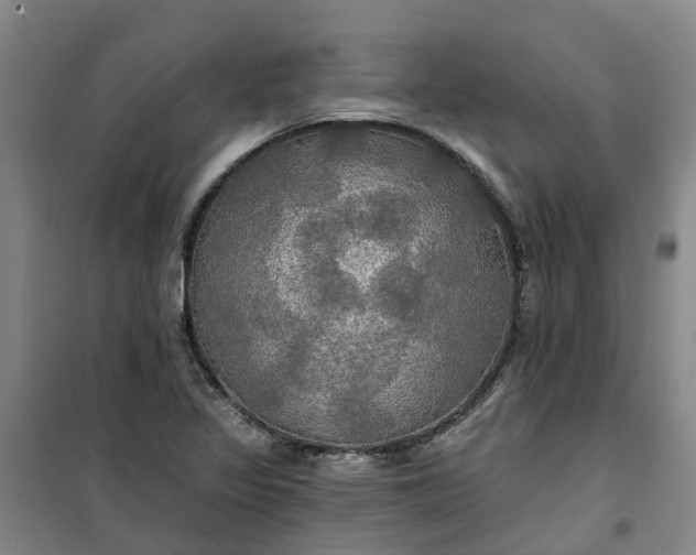 X0000101161317200807111019