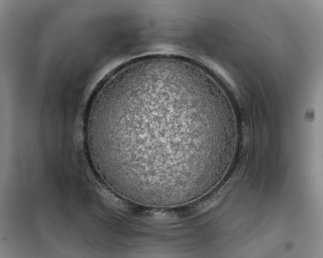 X0000101161318200807111019