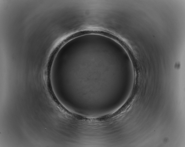 X0000101161319200807111019