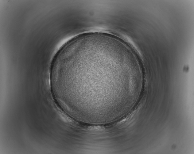 X0000101161320200807111019