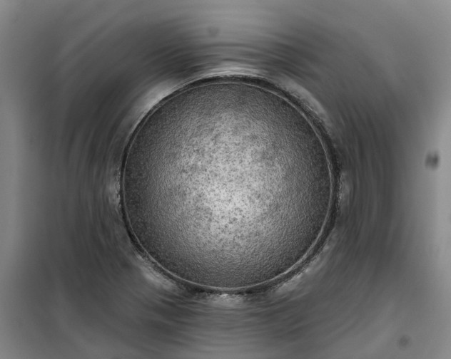 X0000101161321200807111019