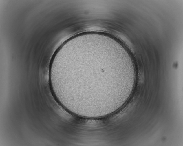 X0000101161322200807111019