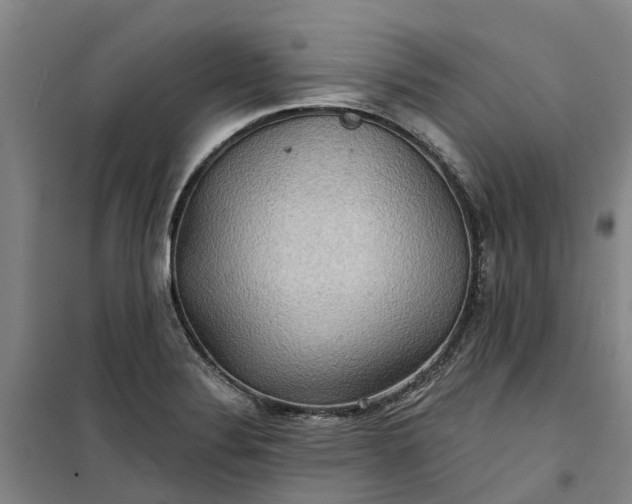 X0000101161324200807111019