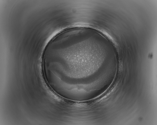 X0000101161325200807111019