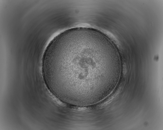 X0000101161326200807111019