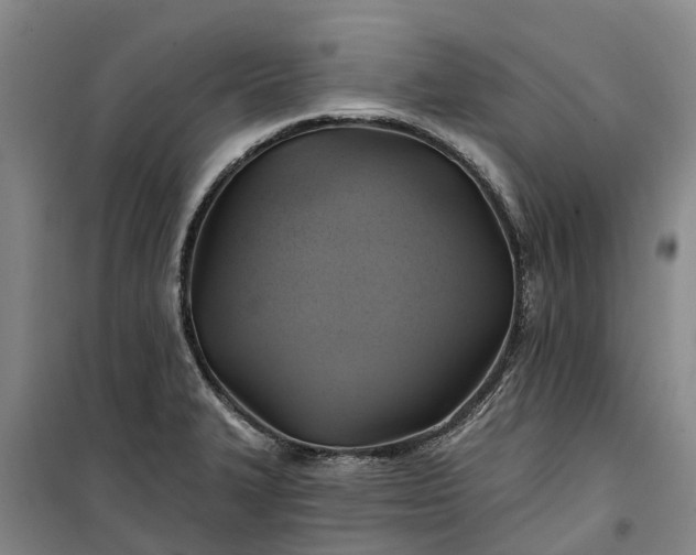 X0000101161327200807111019