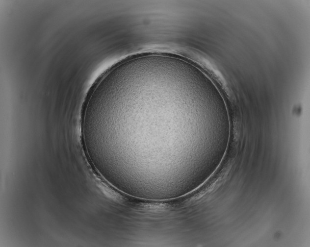 X0000101161328200807111019