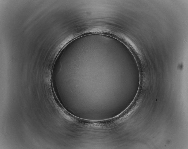 X0000101161329200807111019