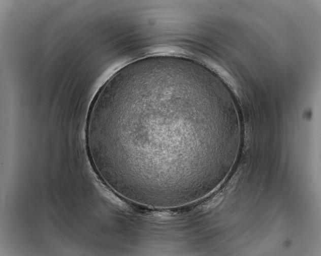 X0000101161330200807111019