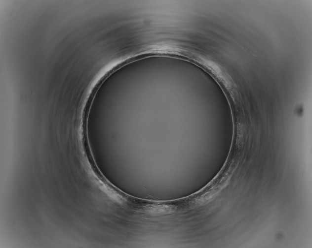 X0000101161331200807111019