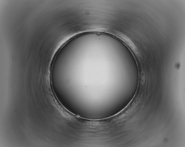 X0000101161332200807111019