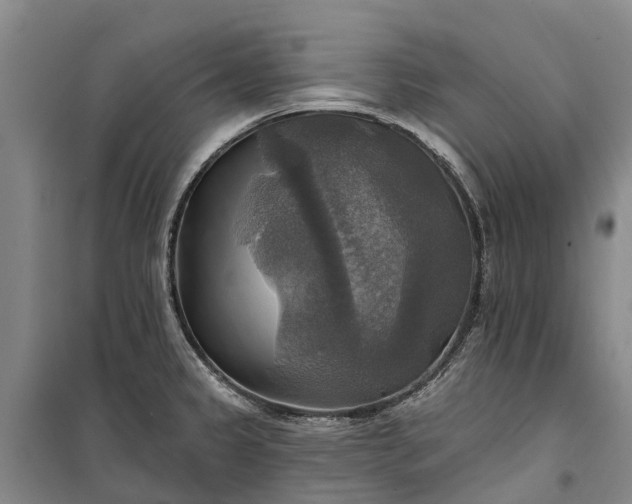 X0000101161333200807111019