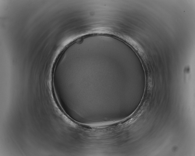 X0000101161334200807111020