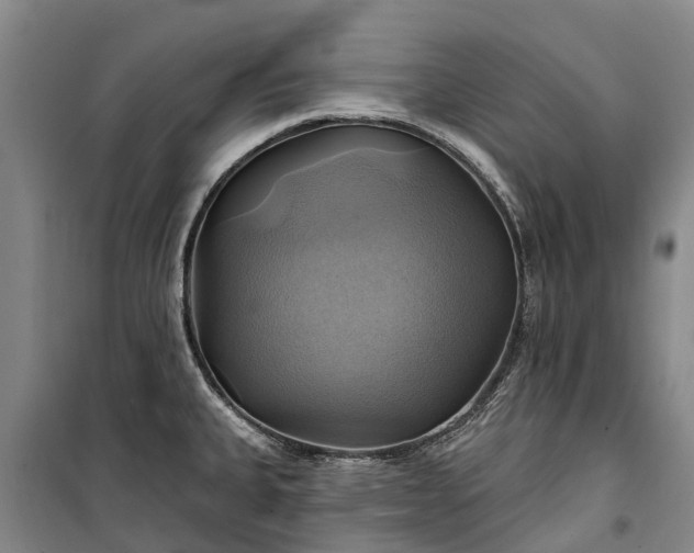 X0000101161335200807111020