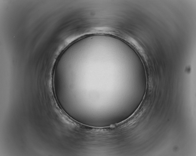 X0000101161336200807111020