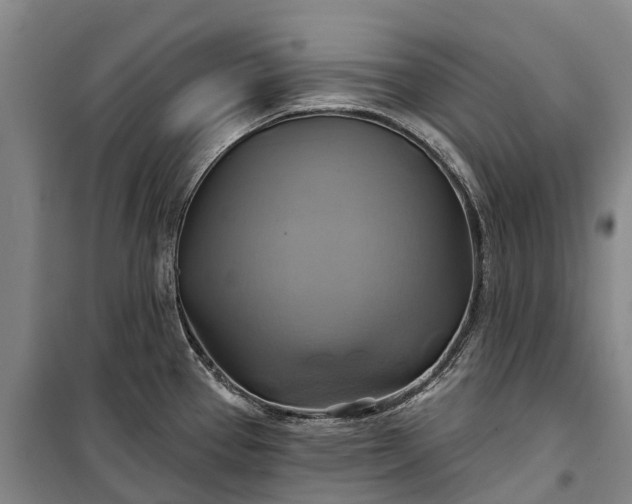 X0000101161337200807111020