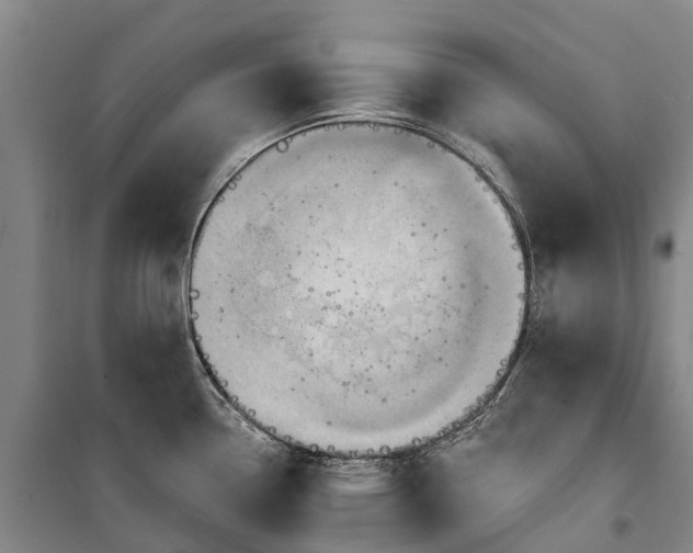 X0000101161338200807111020