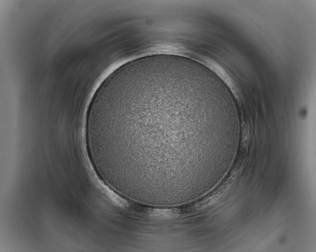 X0000101161339200807111020