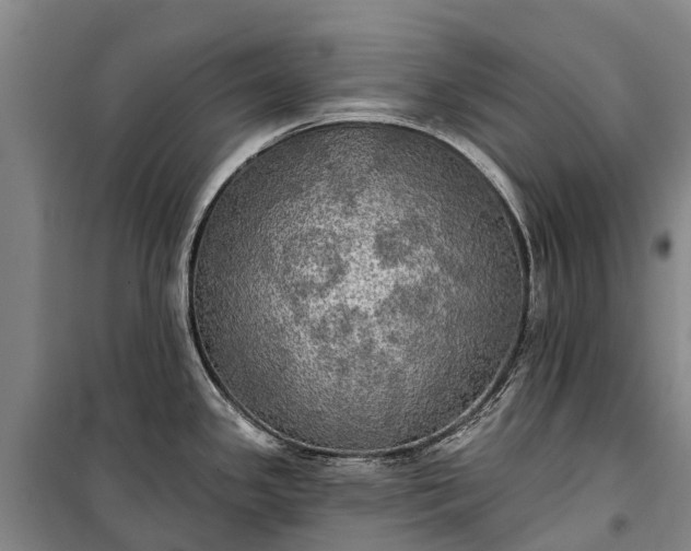 X0000101161341200807111020