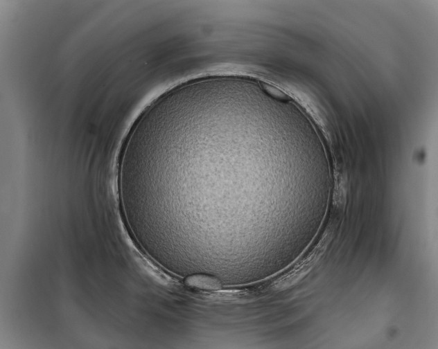 X0000101161342200807111020