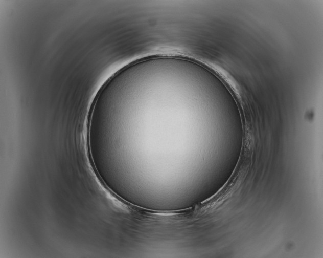 X0000101161343200807111020