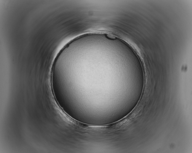 X0000101161344200807111020