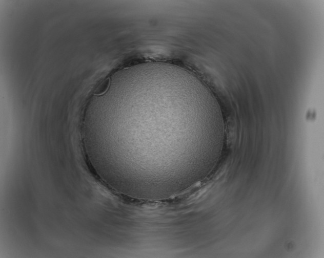 X0000101161345200807111019