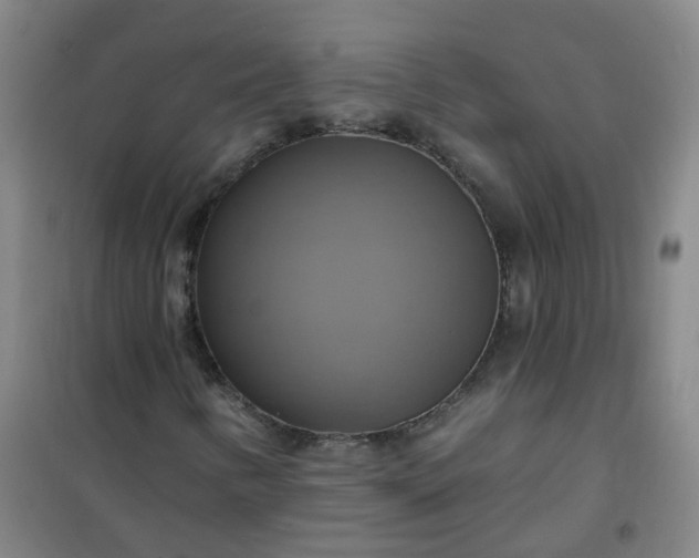 X0000101161346200807111019